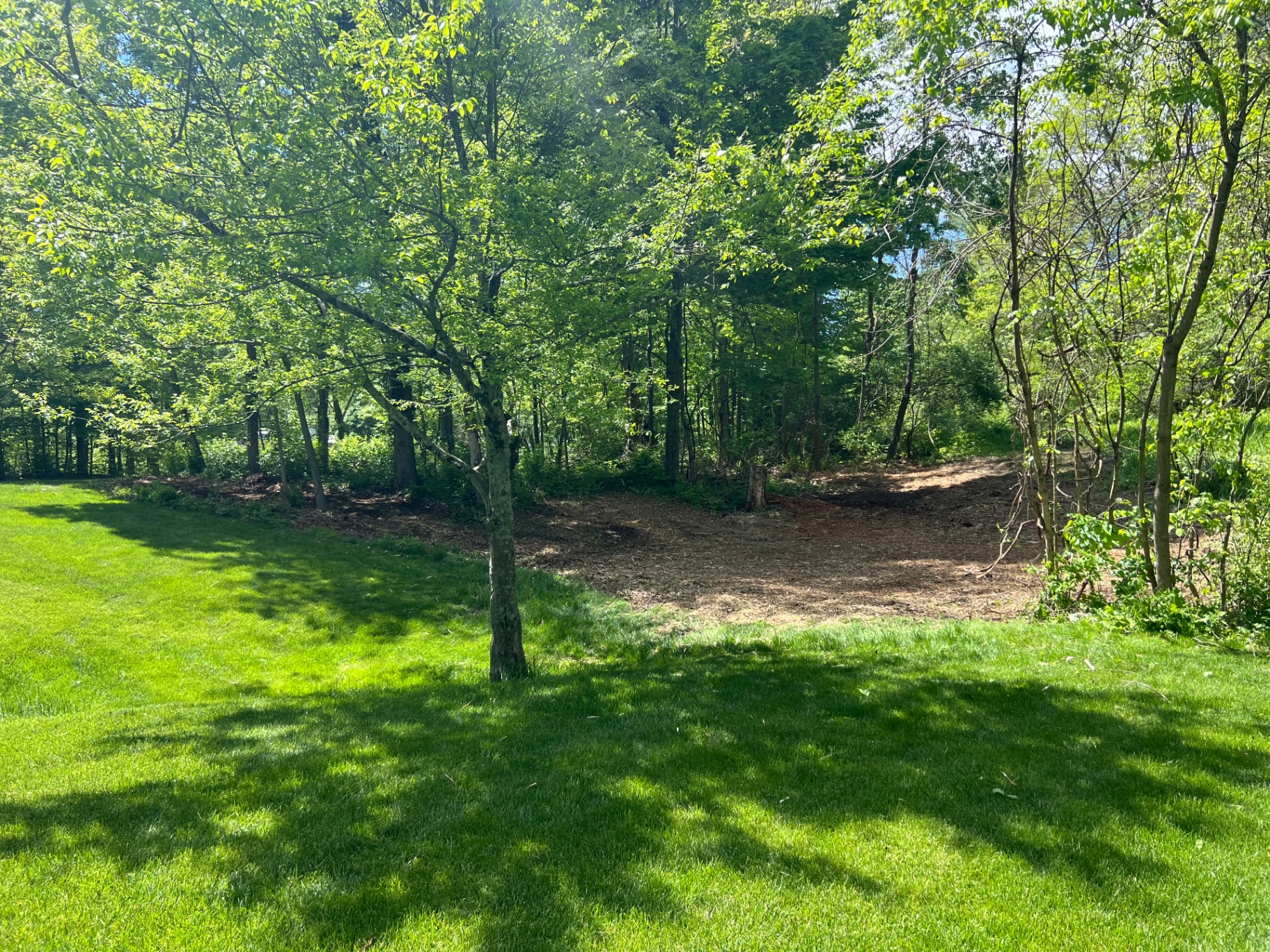 Ohio Land Clear Forestry Services | Professional Land Clearing