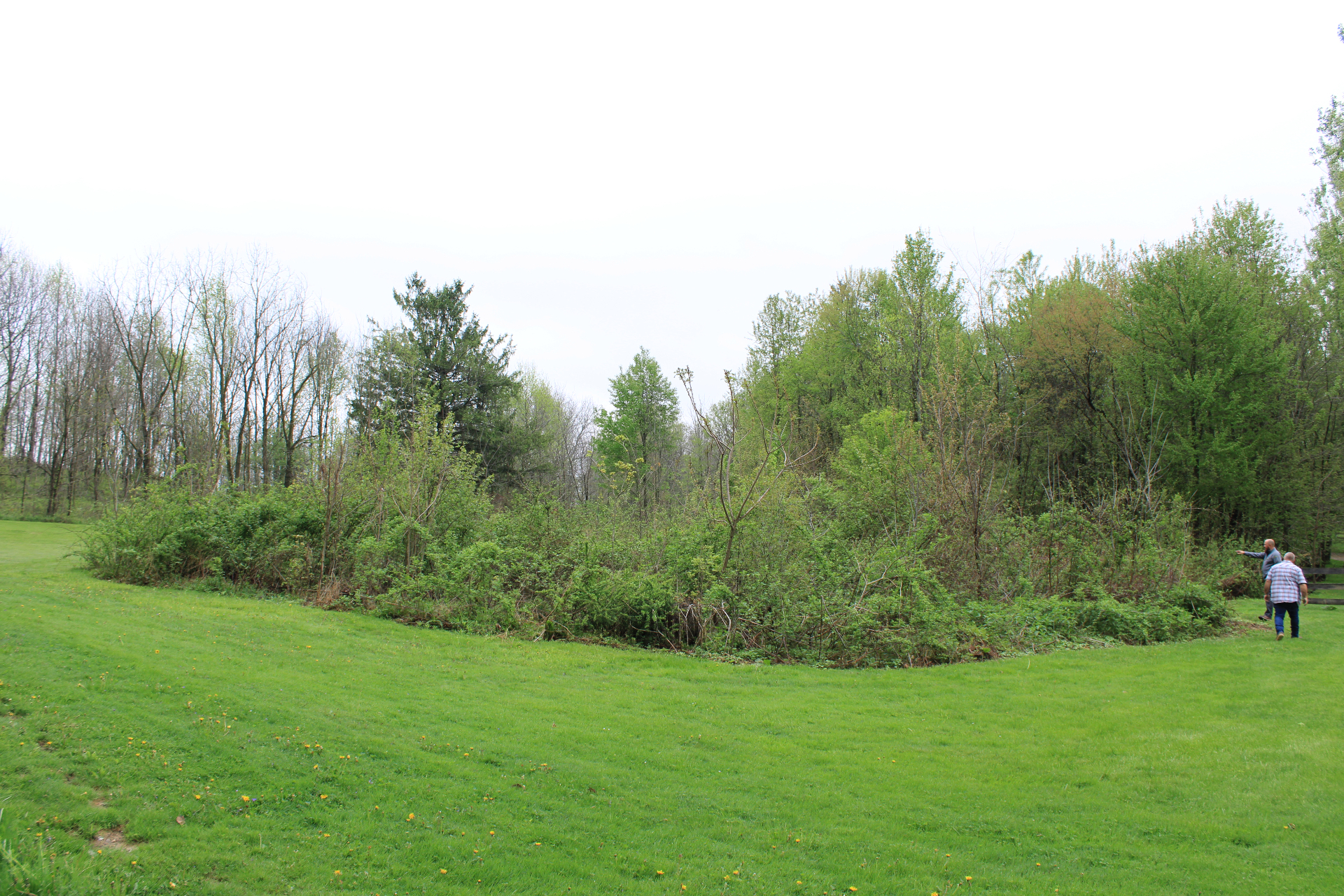 Ohio Land Clear Forestry Services | Professional Land Clearing